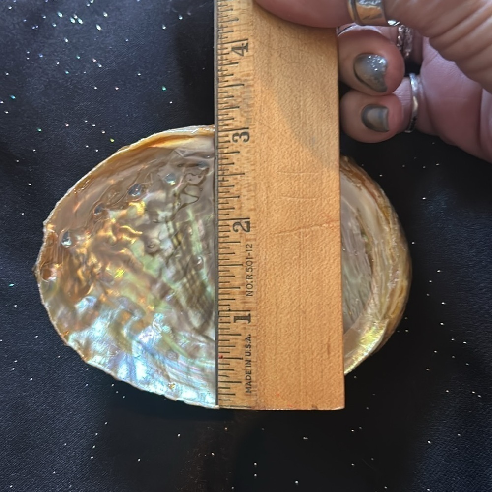 Abalone shell for smudging or as an accent! - Picture 4 of 4